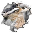 thumbnail image 2 of GHSDFBB Goat Decal, Car Bumper Sticker Vinyl Sticker for Cars, Windows, Walls, Fridge, Toilet and More-11 Inch, 2 of 2