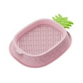 thumbnail image 2 of Macetero de hierba para gatos, bandeja de guardería, hidropónico sin suelo, bandeja de aperitivos para gatos, bandeja de plantación para oficina, Rosa, 2 of 8