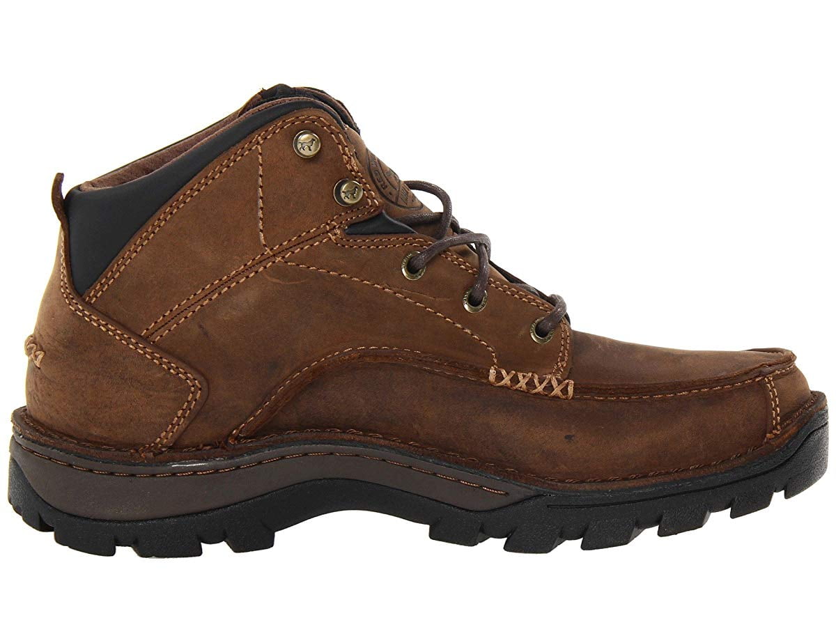 irish setter borderland