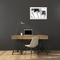 thumbnail image 3 of Lambert, Tom 24x17 White Modern Wood Framed Museum Art Print Titled - Tulips Array ll, 3 of 4