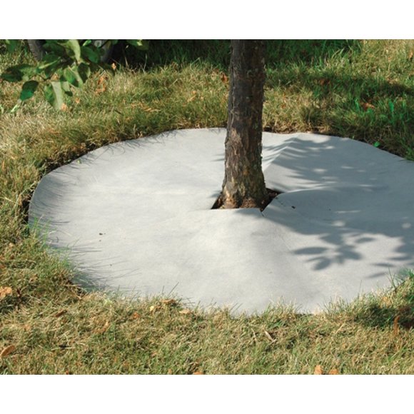 Tree Rings Landscaping