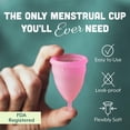 thumbnail image 2 of Dutchess Menstrual Authentic Original Cups Set of 2 with Free Bags - Small (B) - No 1 Economical Feminine Alternative Protection for Cloth Sanitary Napkins for Menstruation, 2 of 8