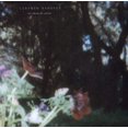 thumbnail image 1 of BESIDES THE ABYSS (IMPORT), 1 of 1
