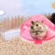 thumbnail image 3 of Balacoo 1 set de bañera de hámster transparente bañera pequeña mascota cuenca mascota bañera de baño bañera recipiente suministro de mascotas para mascotas, 3 of 5