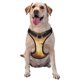 thumbnail image 1 of Fotbe Castle Cool Fire Dragon Arnés para Perro con Estampado –Chaleco Ajustable Acolchado con Asa de Control para Perros Grandes-Medium, 1 of 6