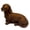 Dark Brown, variant on KGJQ 3D Printed Dachshund Sculpture, Miniature Dog Figurine, Matte Finish Dog Statue, Artistic Pet Memorial Gift