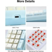Tri-Mode 21-Key Mechanical RGB Backlit Macro Rechargeable Number Pad for PC/Mac
