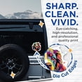 thumbnail image 2 of (2 Pack) English Cocker Spaniel Dog Breed Stickers - 5 Inches On Longest Side - Choose from Over 100 Dog Breeds - for Cars, Trucks, Skateboards, Laptops - Made in USA - BMCS1850, 2 of 7