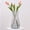 Gray, variant on Glass Vases for Flowers, 8 Inch Tall Ins Modern Irised Crystal Clear Glass Vases for Centerpieces Home Desk Decoration, Decorative Glass Table Vase for Birthday Wedding Housewarming Gift,Amber