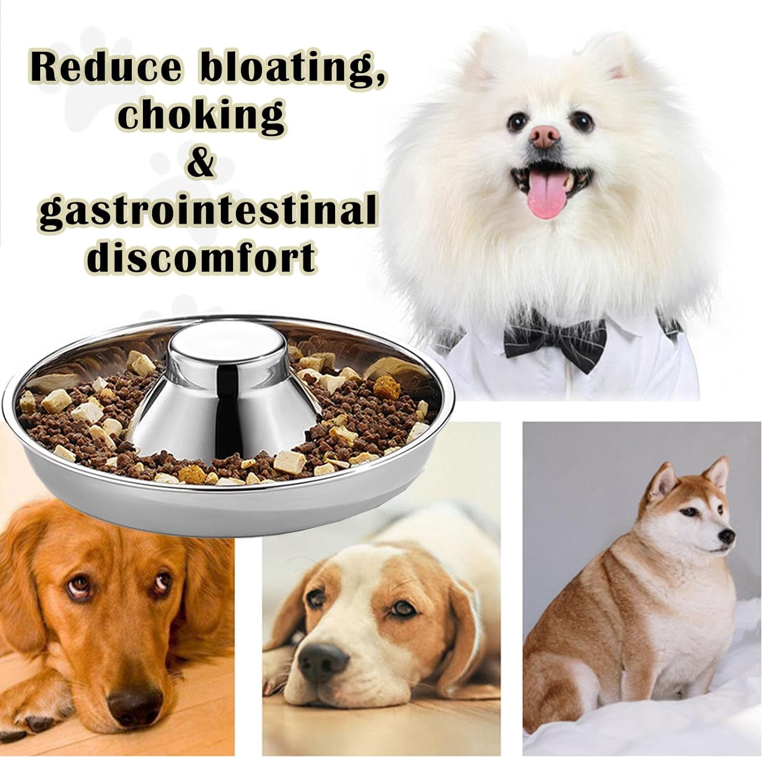 2 Pack Stainless Steel Puppy Bowls - 10 Inch Puppy Feeders Slow Pet Dog Feeding Bowls for Multiple Puppies - Food and Water Bowl for Small Dogs, Cat