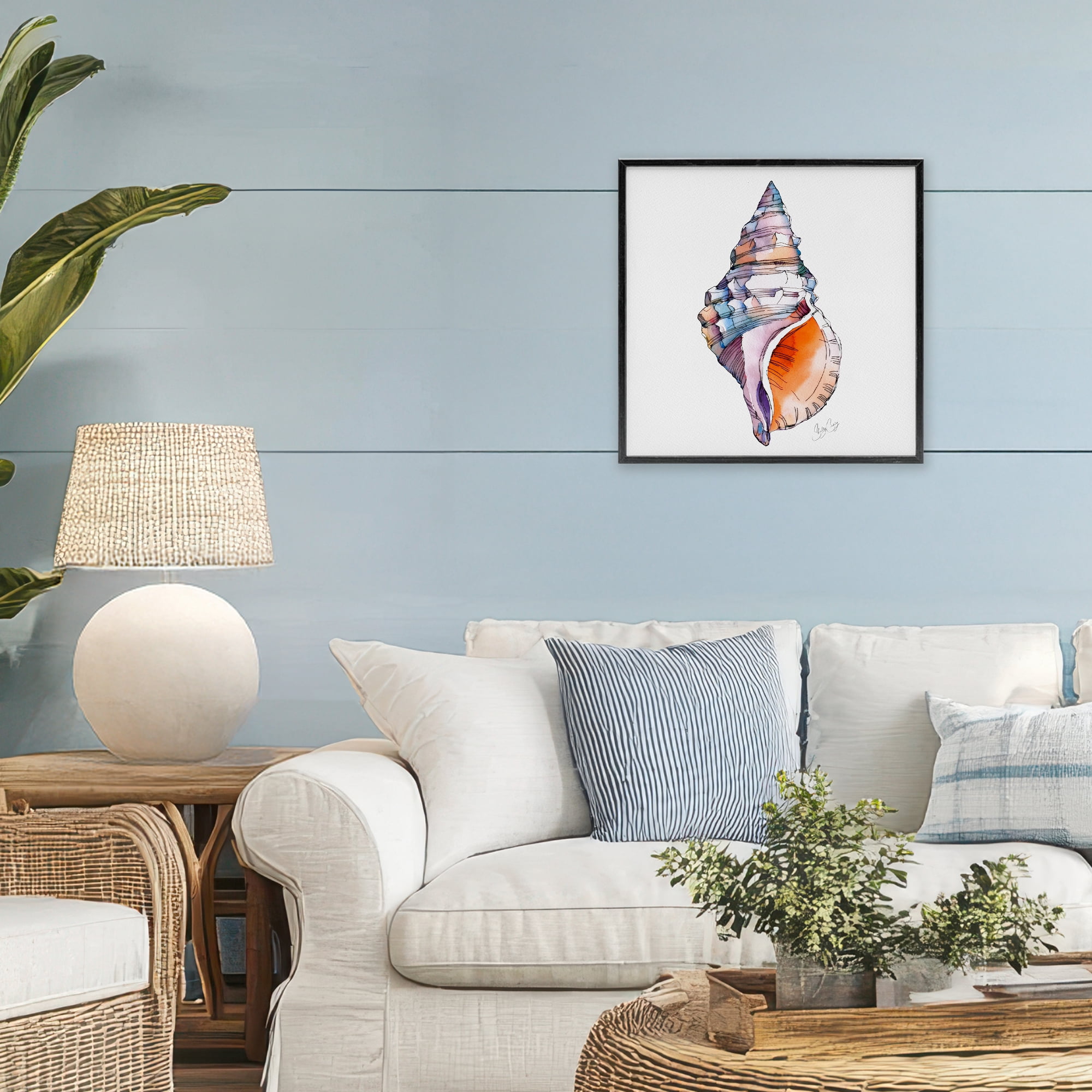 Stupell Industries Sunrise Conch Shell Black Framed Giclee Art, design by Shelly Craig
