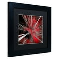 thumbnail image 3 of Trademark Fine Art "I Can't Believe It" Canvas Art by Philippe Sainte-Laudy Black Matte, Black Frame, 3 of 4