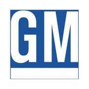 General Motors : Genuine OEM Factory Original GM, Channel Asm Frt S/D Wdo Fr  - Part # 10233403