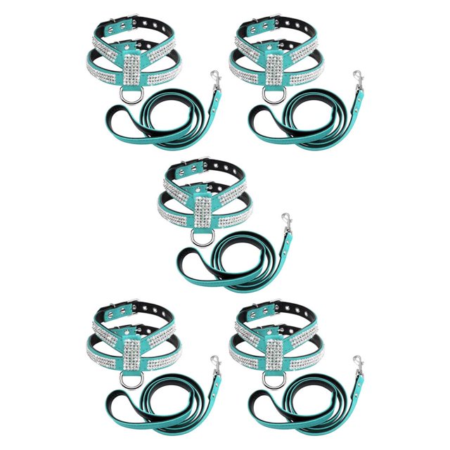 Methold Arnés de cuero para mascotas, portátil, ajustable, plegable, seguro, para actividades al aire libre, parque, jardín, caminar, Azul S 5piezas
