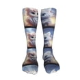 thumbnail image 5 of Rateoe Cute Animal Couple print Women's Men's Novelty 20in Crew Socks Cotton Socks Knee High Socks for Walking,Running,Nurses,Pregnancy-One Size, 5 of 8