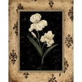thumbnail image 2 of Andrew, Regina 20x24 Black Ornate Wood Framed with Double Matting Museum Art Print Titled - Silver Iris, 2 of 4