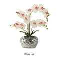 thumbnail image 4 of Guardoinrt Realistic Artificial White Orchid Plant In Pot - Low Maintenance Wide Application Realistic White Red, 4 of 6