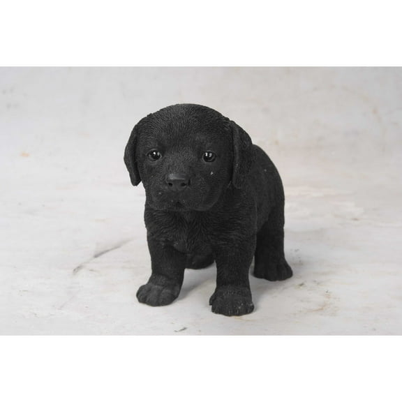 Hi-Line Gifts Black Labrador Puppy Outdoor Garden Statue - 8"