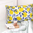 thumbnail image 4 of Honeii Tropical Lemon Print Pillow Cases,Plush Throw Pillow Covers,Decorative Pillowcase for Sofa, Couch, Living Room-20"x30", 4 of 6