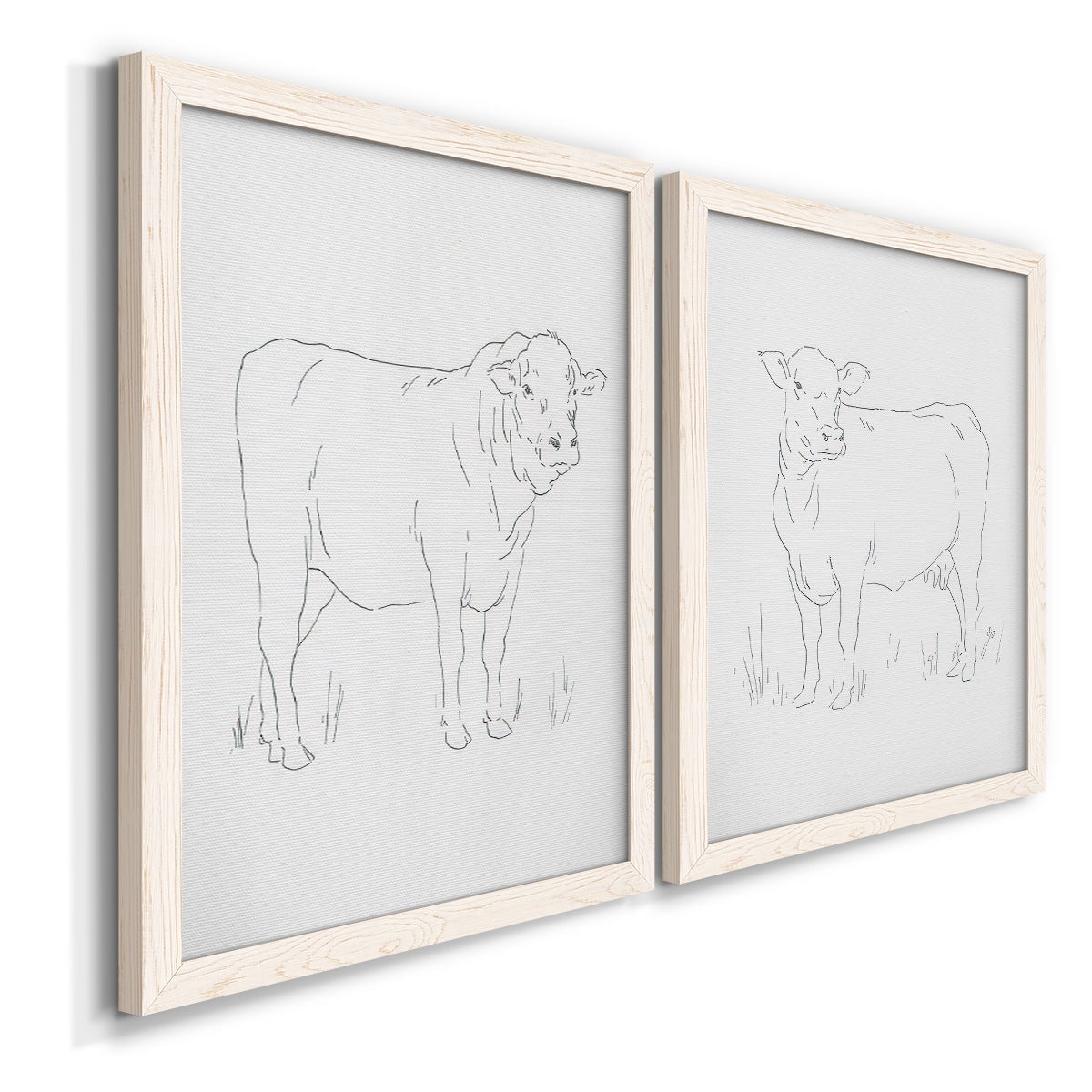 Limousin Cattle I - Premium Framed Canvas 2 Piece Set - Ready to Hang