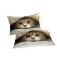 Cat, Cute Comforter Covers Bedding Set 3D Printed Duvet Cover Quilt