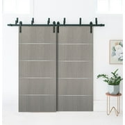 Barn Bypass Doors 64 x 80 with 6.6ft Hardware