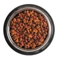 thumbnail image 4 of Shaggy Cachorro 20 Kg + Mazacan Para Perro 1 pza, 4 of 7