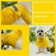 thumbnail image 5 of Greeniant Chubasquero para mascotas, chubasquero reflectante mediano grande, chaqueta Adorable, ropa transpirable para exteriores para cachorros, Ropa para mascotas XS, 5 of 6