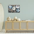 thumbnail image 3 of Stupell Industries Varied Seashell Shucks Animals & Insects Painting Gallery Wrapped Canvas Art Print Wall Art, 30 x 20, 3 of 8