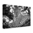 thumbnail image 4 of Canvas Wall Art - Jeffrey C. Sink 'Monochrome Beauty' Wall Art for Living Room, Bedroom, or Office Décor by Trademark Fine Art - 24 x 16 Inches, 4 of 4