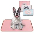 thumbnail image 1 of Pet Sleep Mat Cartoon Detachable Cool Dog Sleep Mat Pet Sleep Pad for Summer, 1 of 7
