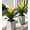 Yellow, variant on Fake Flowers Plants for Outdoors, 2 Pcs 16.93" Bromeliad Artificial Flowers Uv Resistant Realistic Faux Flowers for Outdoor Planters Outside Porch Patio Yard Garden Indoor Decoration(White)