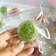 thumbnail image 1 of Juguetes antiestrés apretables | Pelotas moldeables hechas a mano de perlas y arándanos | Complemento sensorial de escritorio para aliviar la ansiedad, 1 of 1