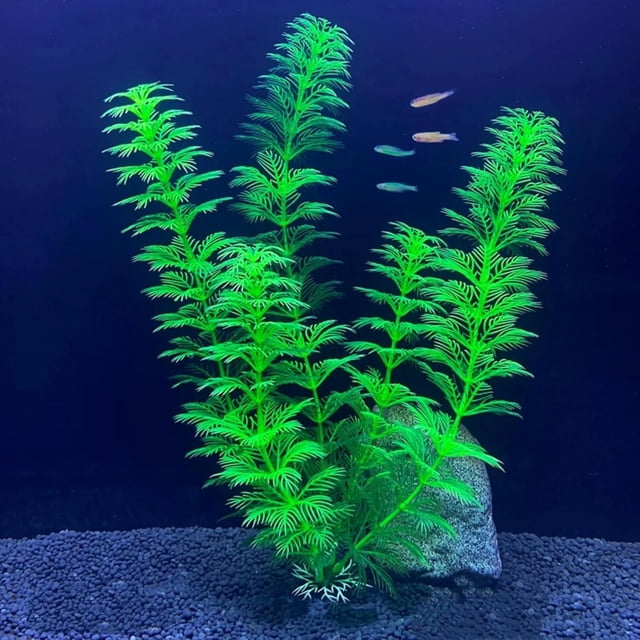 Simulation de Plantes Aquatiques pour Aquarium