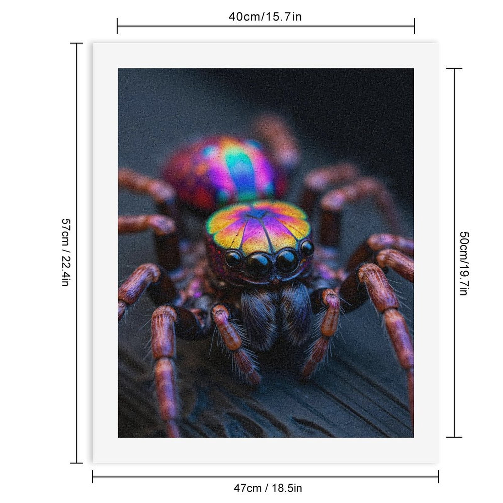 Paint By Numbers Kit for Adults Beginner - DIY Colorful Iridescent Jumping Spider Canvas Painting Kits for Adults, Frameless Paint By Number for Adults for Home Wall Decor 16x20 Inch
