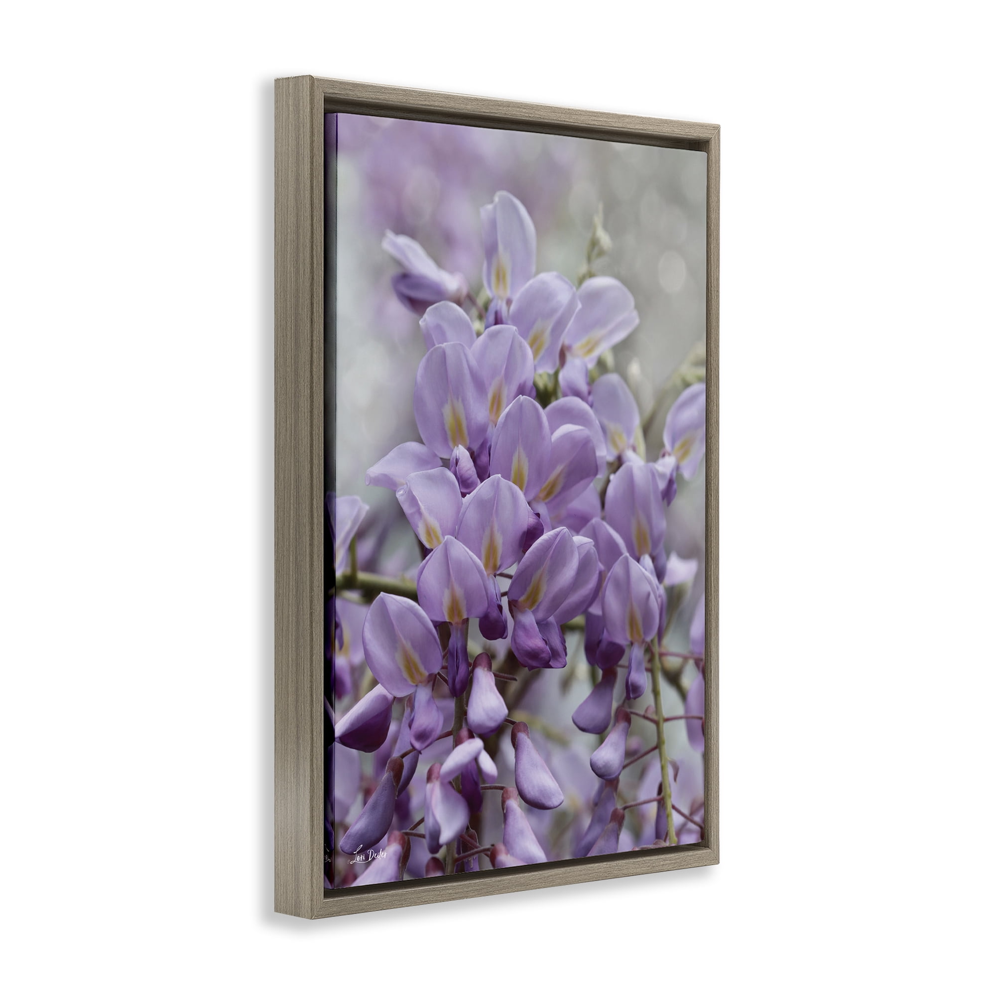 Stupell Industries Purple Orchid Petals Plants & Flowers Photography Brown Floater Framed Canvas Art Print Wall Art, 21 x 31