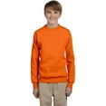 thumbnail image 2 of Hanes ComfortBlend EcoSmart Boy`s Crewneck Sweatshirt, L, Orange, 2 of 4