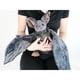 thumbnail image 4 of Hot sale! Halloween The Big Plush Toy For Kids, Embrace-Stuffed Animal Toys Soft Hug-Furry Gifts For Boy Girl Toddler Decoration Popular! Halloween, 4 of 5