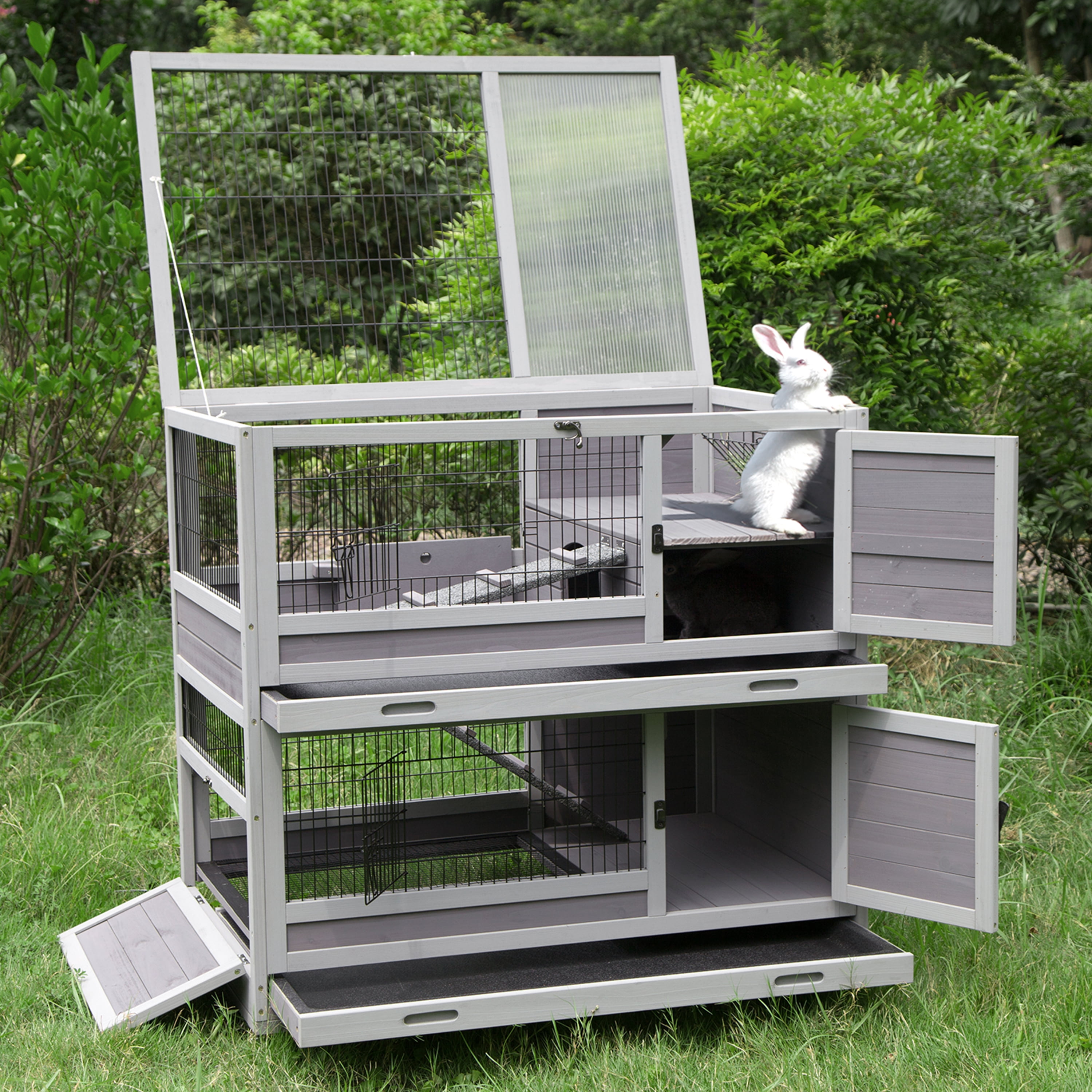 roger xl rabbit hutch