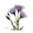 Unframed, variant on Art.com Purple Gentian Square Stretched Canvas Print Wall Art by Albert Koetsier, 30" x 30"