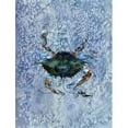 thumbnail image 1 of Drapeau de Crabe de 11 x 15 Po&44; Taille du Jardin, 1 of 1