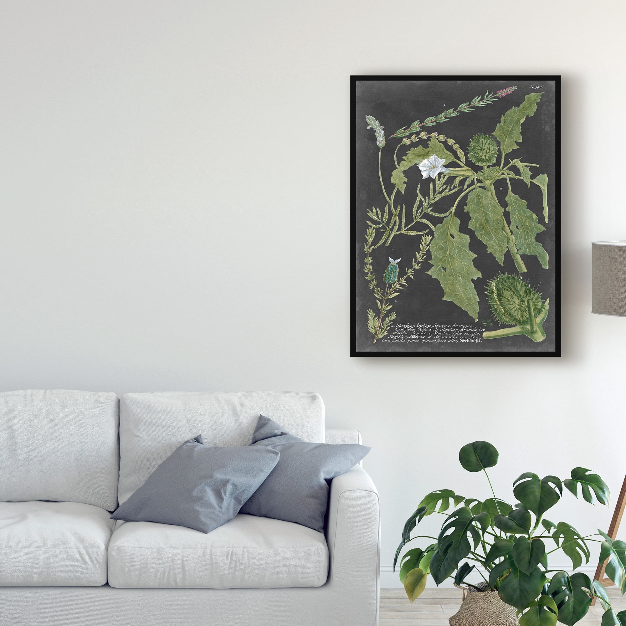 Trademark Fine Art 'Dramatic Weinmann Greenery II' Canvas Art by Vision Studio