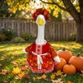 thumbnail image 6 of AZXY Fall Porch Goose Outfit, Fits 23" Rustic Goose Clothes Dress, Goose Clothing & Goose Cloth for Cement Plastic Lawn Goose Statue, Thanksgiving Harvest Outdoor Decor for Yard Lawn Patio Garden, 6 of 8