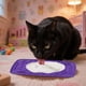thumbnail image 5 of Comedero Lento Para Perros Almohadilla De Silicona Para Que Los Perros Laman Dispensador Para Cachorros Y Gatos Que Evita La Ansiedad Y El Desorden Seaflex Feast Mat – Comedero Lento Fomenta El, 5 of 5