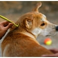 thumbnail image 2 of Tick Tool Safe for Pets Tick Off and Humans, Orange, 2 of 3