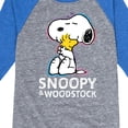 thumbnail image 3 of Peanuts - Snoopy And Woodstock - Toddler & Youth Raglan Graphic T-Shirt, 3 of 5