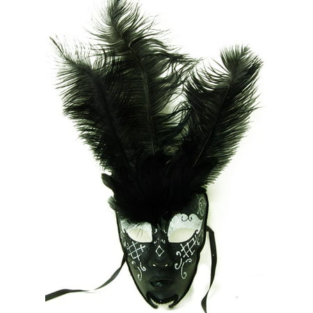 Royal Onyx Feathered Mardi Gras Costume Mask w/Silver Eyebrows One Size