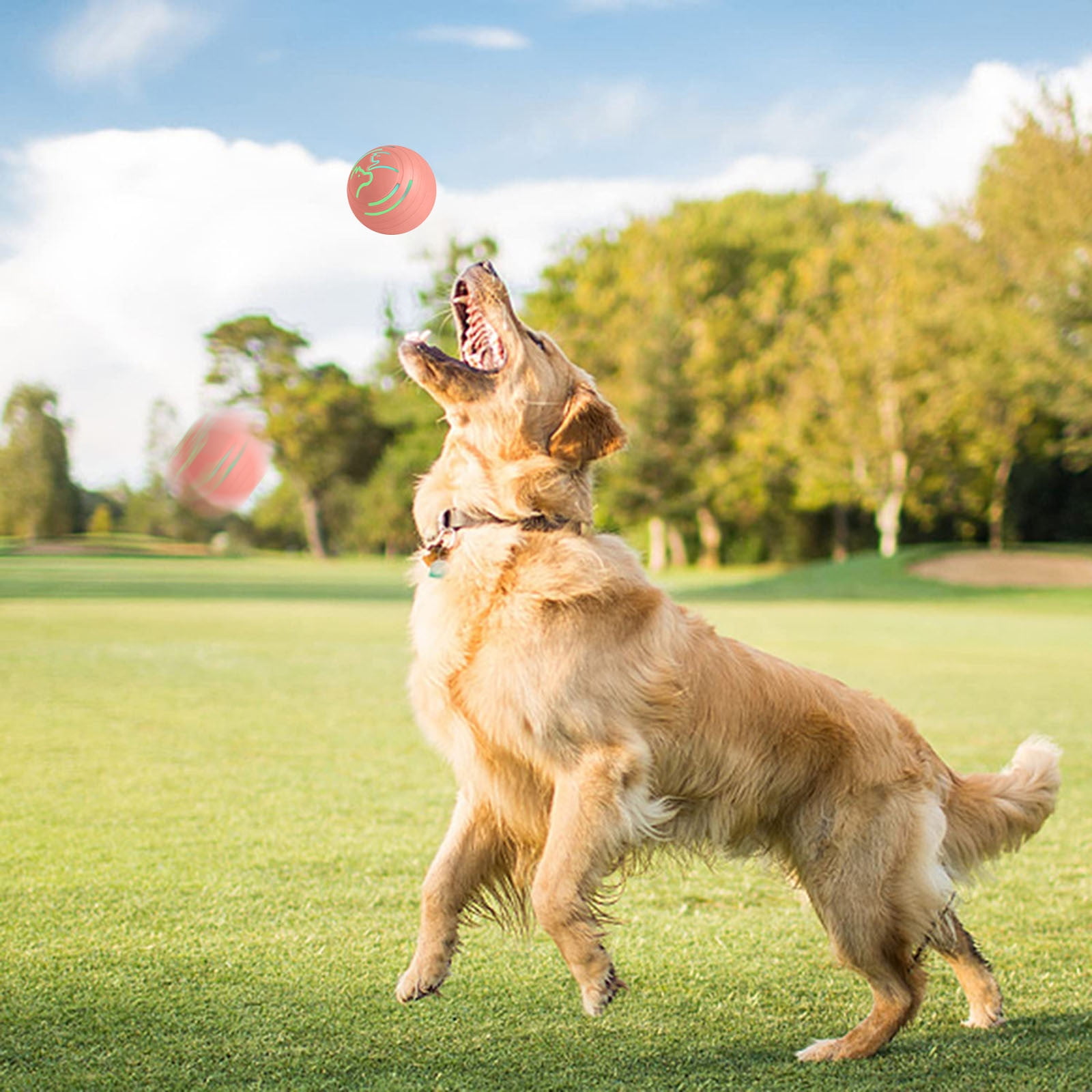 Automatic Rolling Dog Ball - Smart Interactive Toy with Motion Activation for Puppy & Small Medium Dogs, 360° Jumping Bouncing Rotating Ball for Indoor Outdoor Play, Chew Resistant