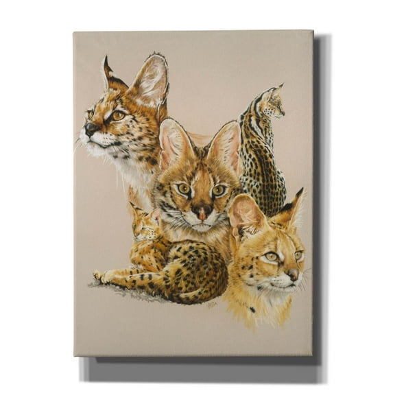 Epic Graffiti 'Adroit' by Barbara Keith, Canvas Wall Art, 40"x54"