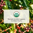 thumbnail image 6 of Peet's Coffee, Alma De La Tierra Organic Dark Roast Coffee Pods - 10ct Carton, 6 of 7